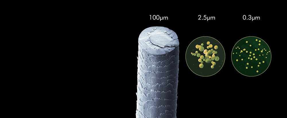 Image representing hair and other smaller particles